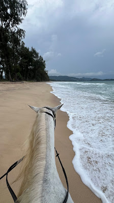 HORSE CLUB (Layan Beach) thumb 5